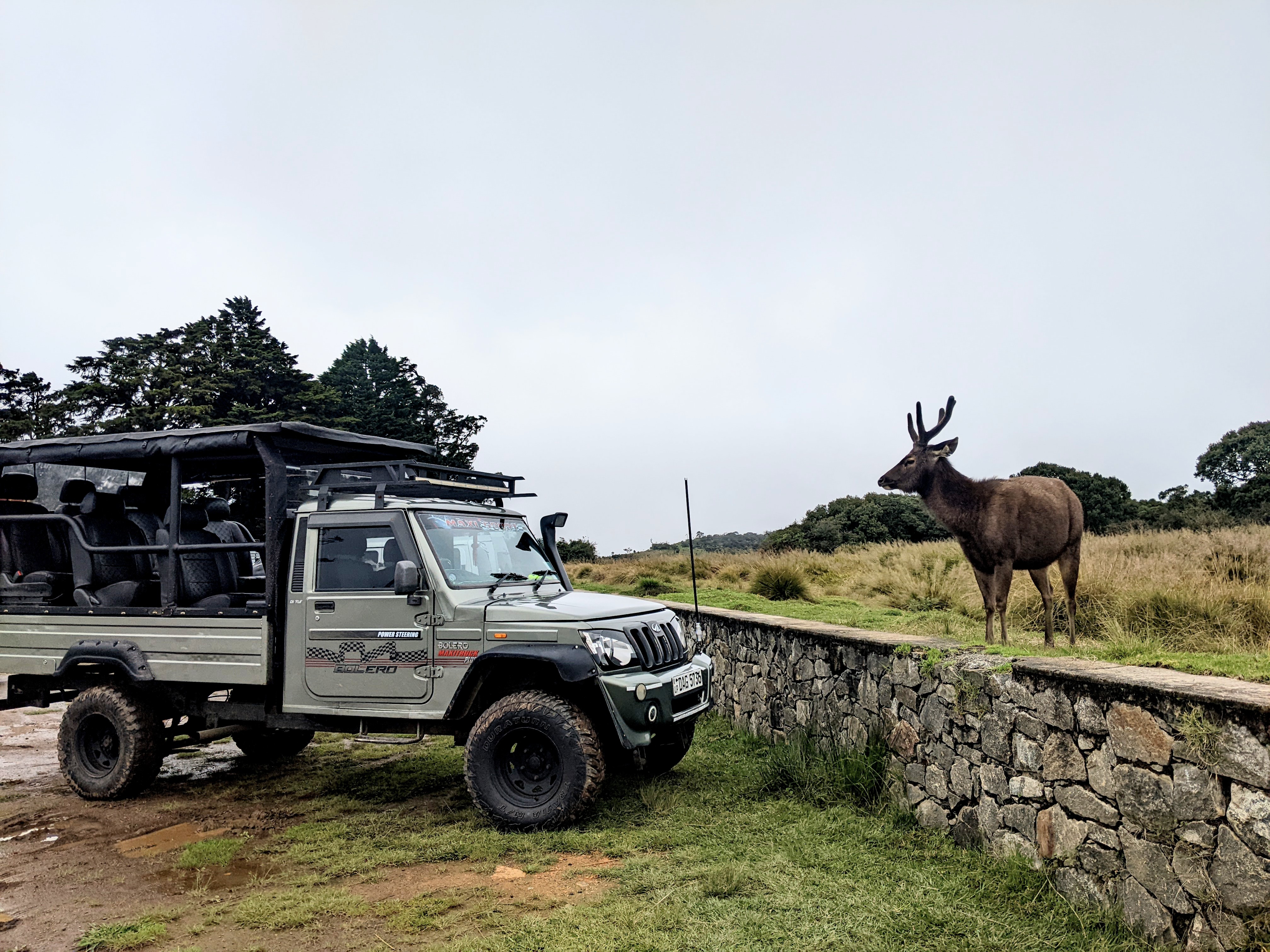 Safari adventure   Devil's Staircase 